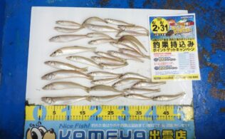 2025.6.29    大社　　キス