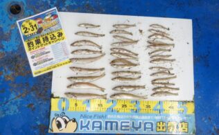 2025.6.29　長浜サーフ　キス