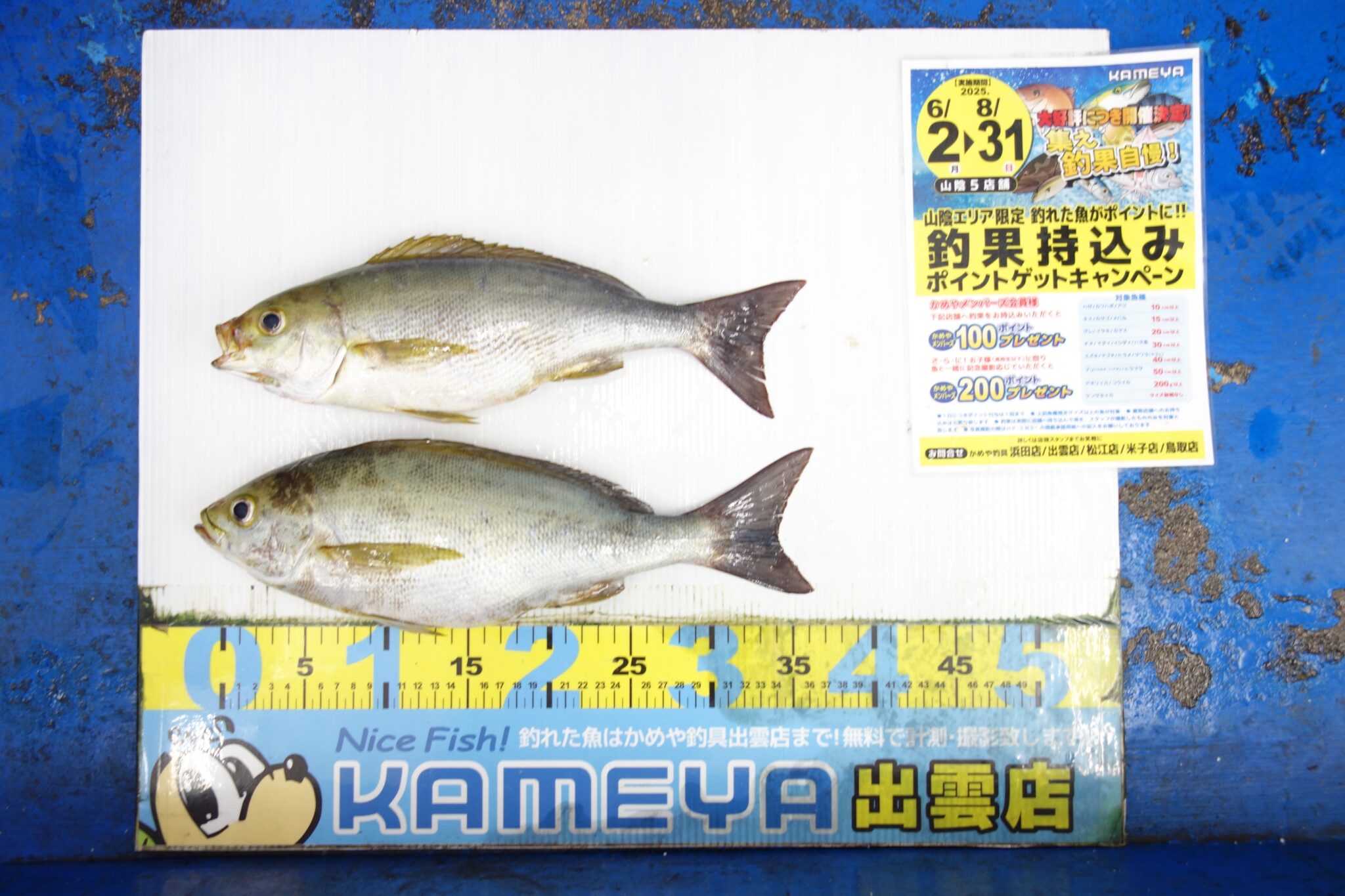 Takuya様専用 釣具 大量！【引退品】 【公式通販】