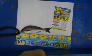 2025/07/01 大社　イサキ