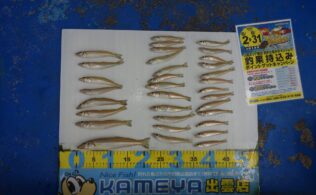 2025/07/01　大社　キス