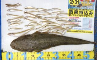 2025.7.4　長浜サーフ　マゴチ、キス