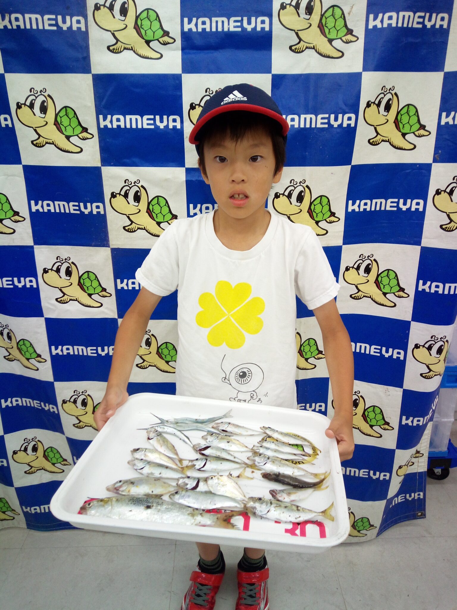 2025.7.27 島根半島 様々な魚種 | かめや釣具