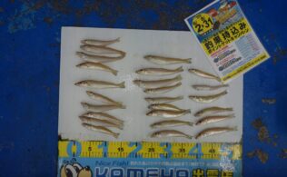 2025/07/01 大社　キス