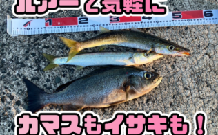 2025.7.23　平田方面　カマス　イサキ