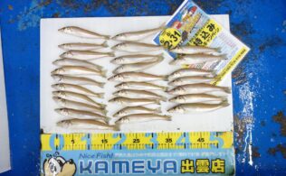 2025/08/04　稲佐の浜　キス