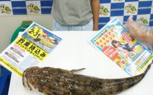 2025/08/04　大社沖　マゴチ