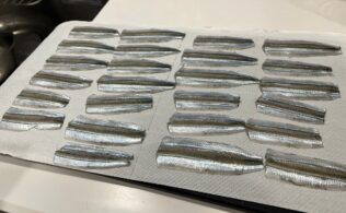 サヨリが無限に釣れます。