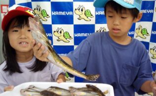 2025.9.20 大橋川 マゴチ ハゼ