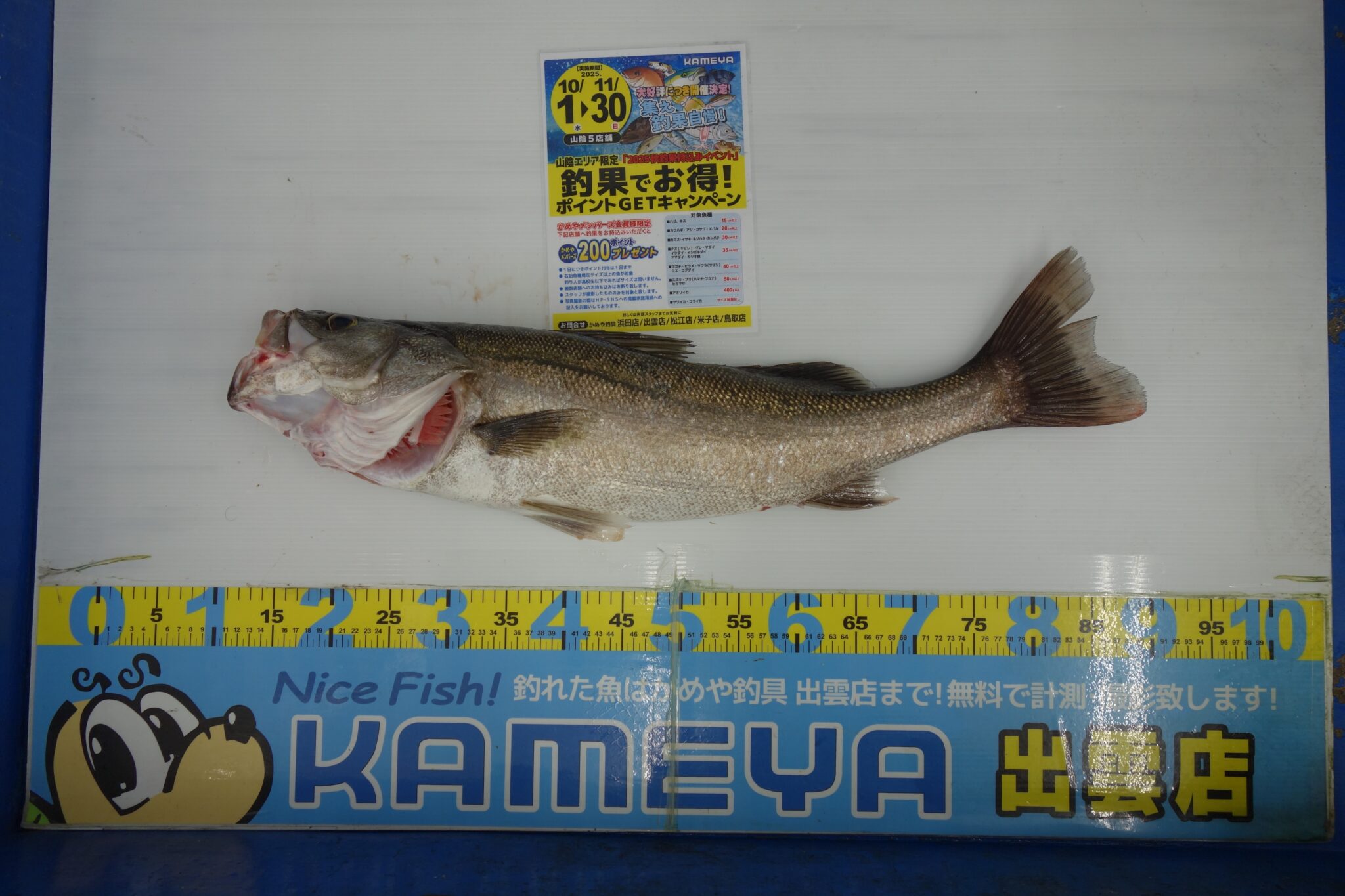 DSC01311-scaled.jpg