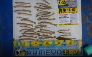 2025.11.12　長浜　キス