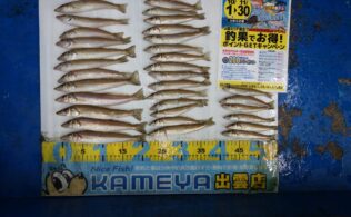 2025.11.12　大社築港　キス