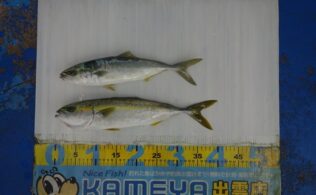 2025.12.21 大社築港　ワカナ