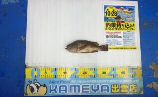 2026.01.20 大社　メバル