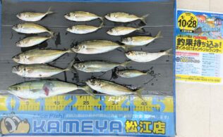 2026.02.15 アジ他 境港