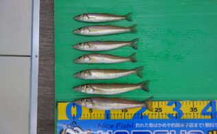 0207　キス　境水道