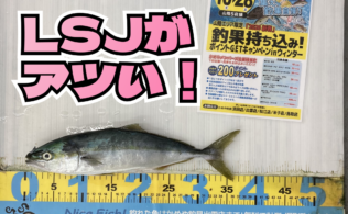 2026.2.15　宅野港　ツバス