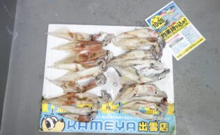 2026.2.16 平田　ヤリイカ