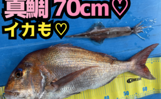 ＊真鯛＊