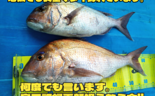 何度でも言います。自己記録更新を狙うなら今!!