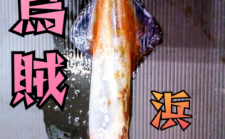 2026.3.14　　ヤリイカ