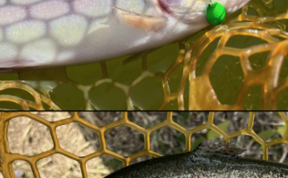 庄原、スプーン！