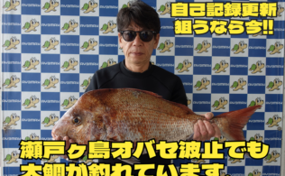 瀬戸ヶ島でも大鯛が釣れています!!