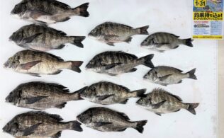 2026.4.6　中海　チヌ