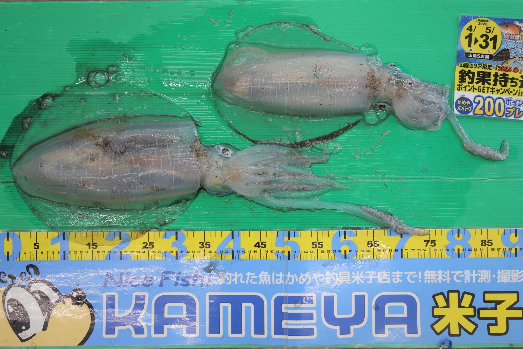 No71-scaled.jpg