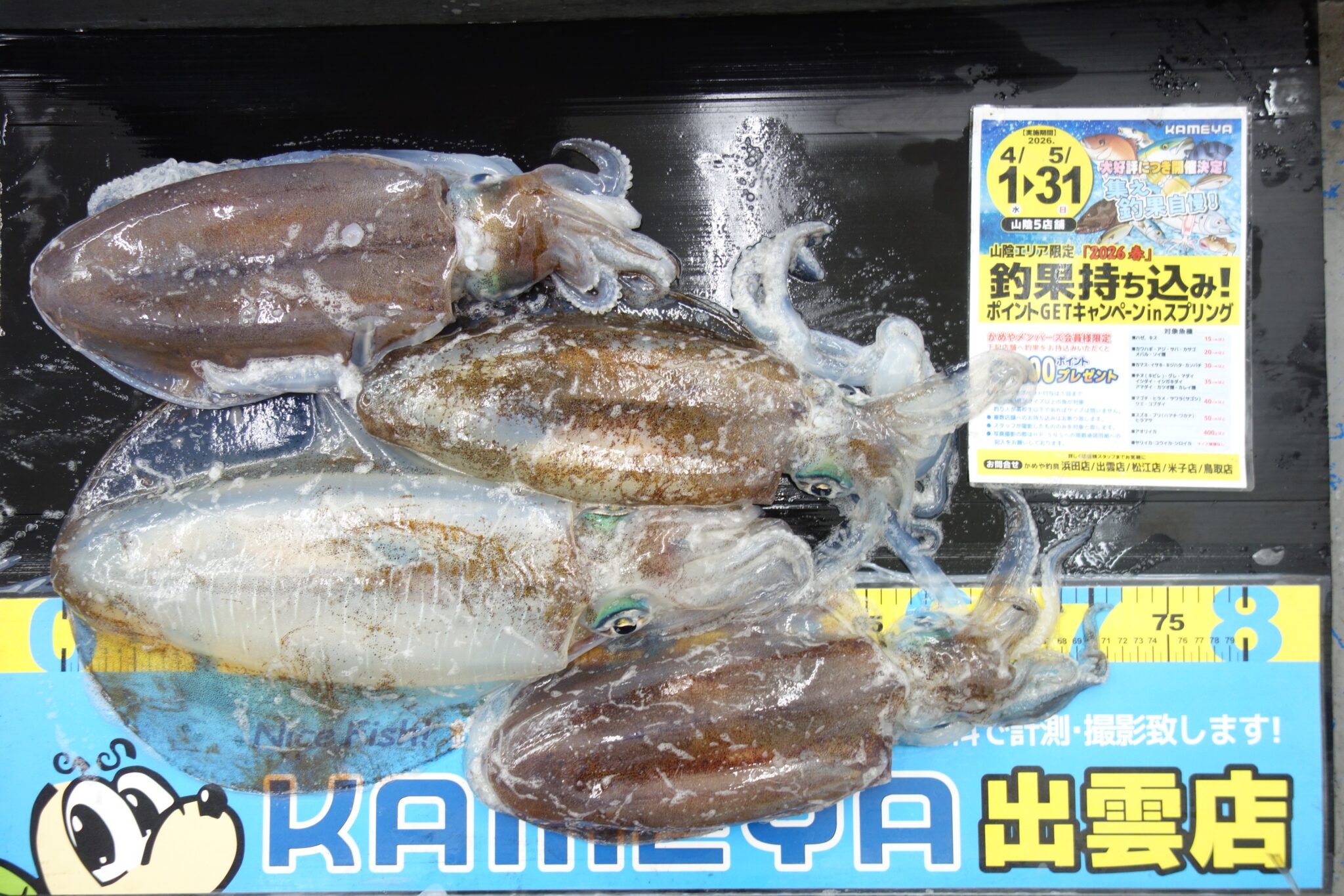 いかり　錨　ひっかけ　船具　（取りに来れる方）値下げ 楽天市場】船 アンカー 錨の通販