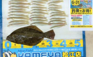 キス釣りでヒラメまで！？