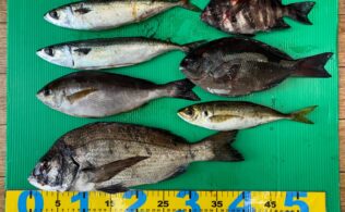地磯　フカセ