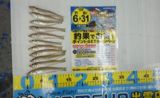 2026.7.21　大社　キス