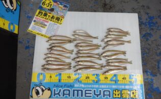 2026.7.21　稲佐の浜　キス