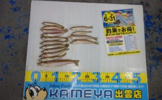 2026.7.29 大社　キス