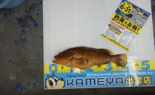 2026.7.20 大社　アカミズ
