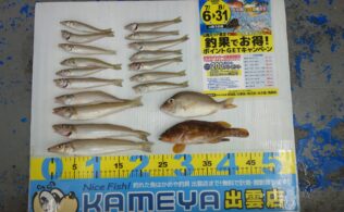 2026.7.28   大社方面　キス
