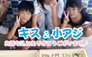 キス&小アジ釣り♪