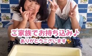 アジ&サバ✨