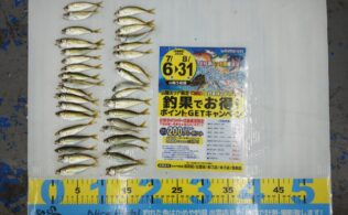 2026.7.21　大社　アジ
