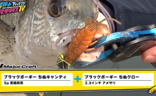 2026.6月　神西湖チニング