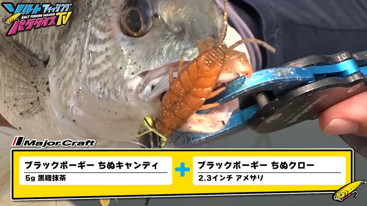 2026.6月 神西湖チニング | かめや釣具
