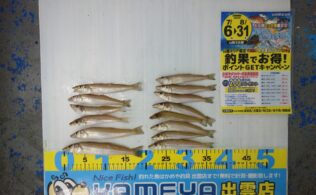 2026.7.31 大社　キス
