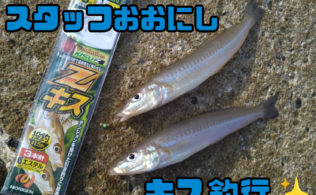 キス釣り好調★【スタッフ釣行】
