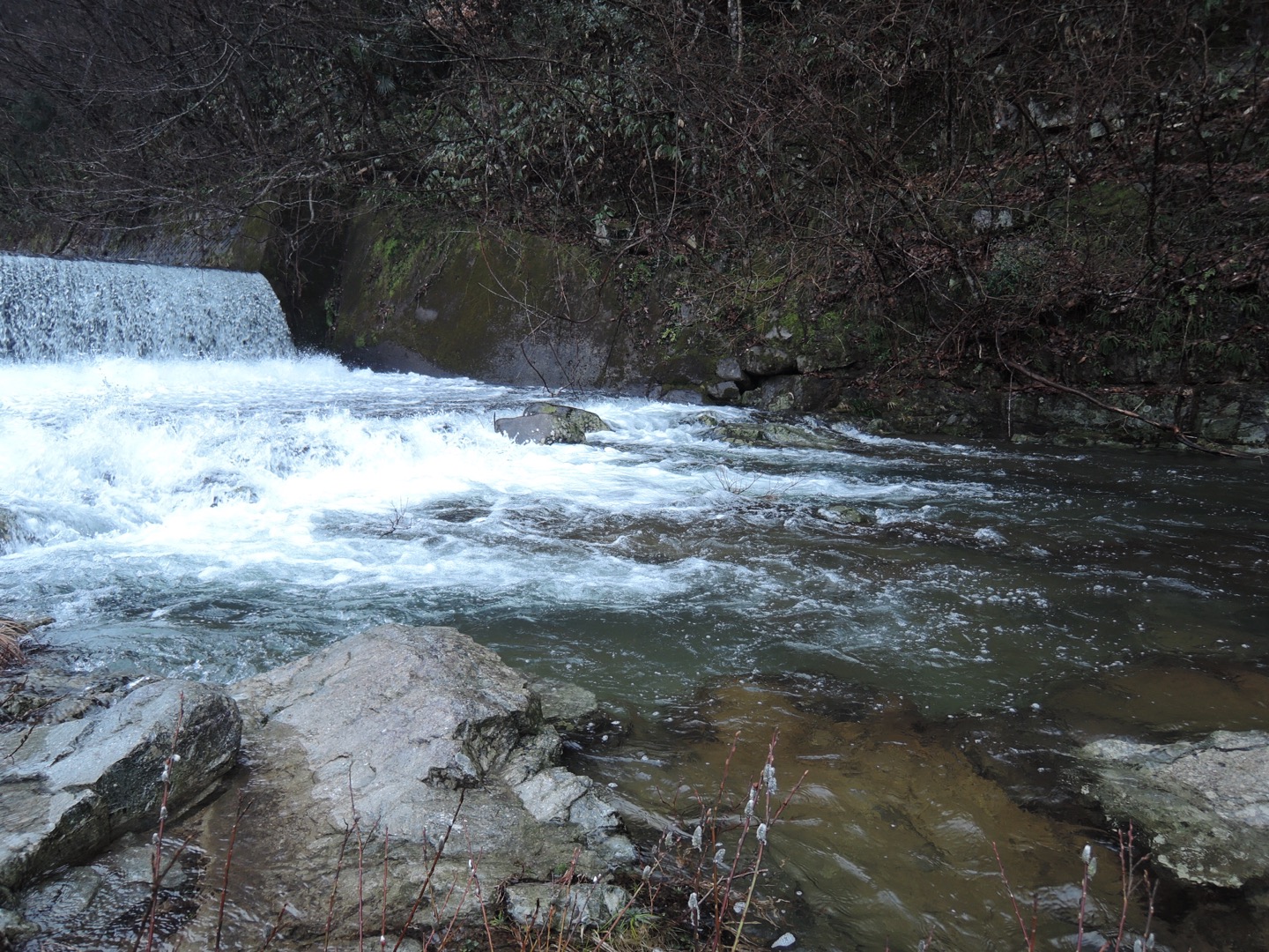 3月の渓流釣り かめや釣具