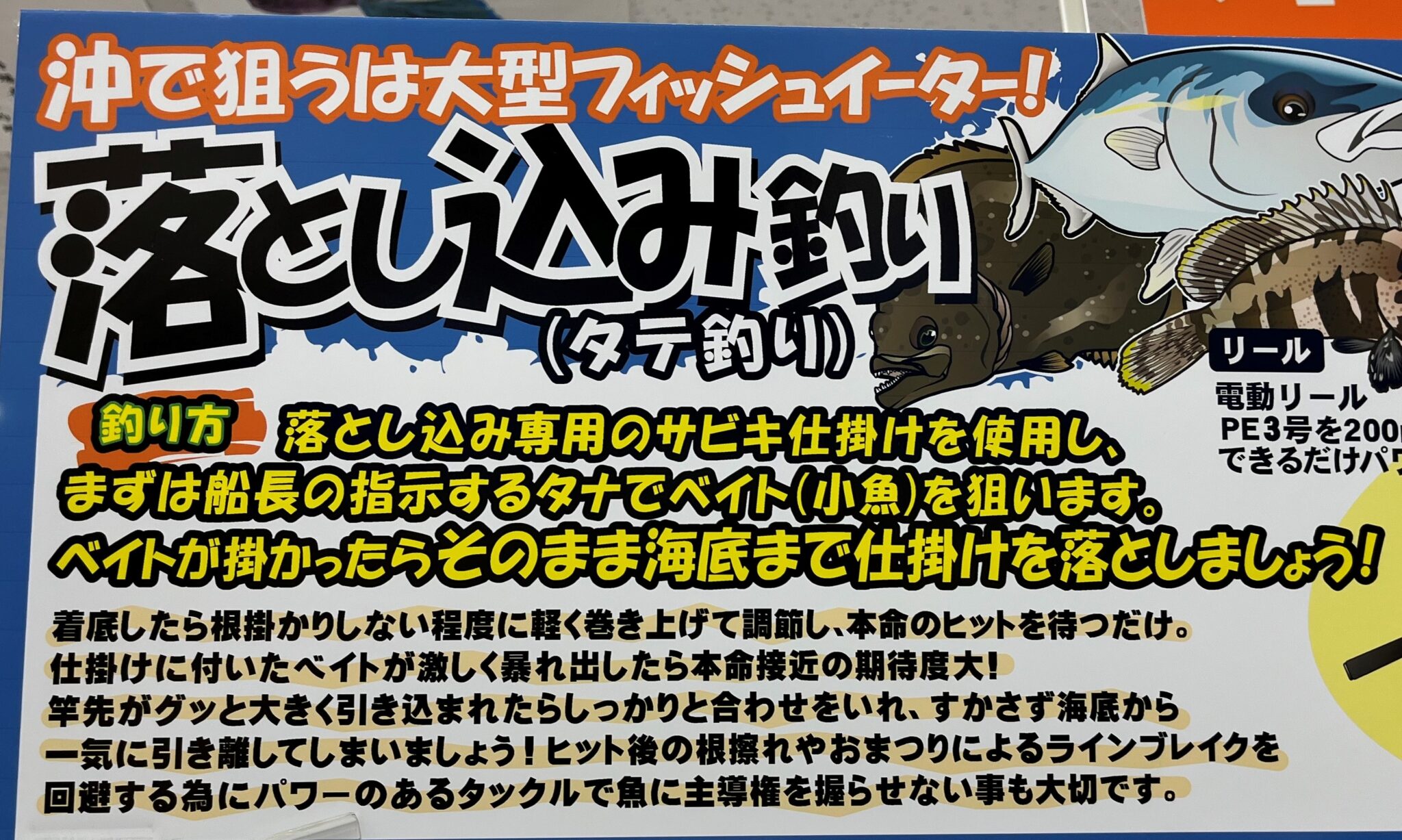 瀬戸内海 落とし込み 仕掛け かめや釣具