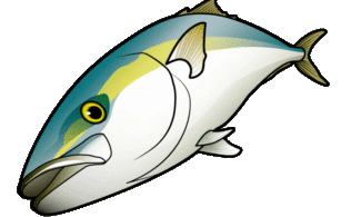 大室漁港周辺にて青物釣れてます！