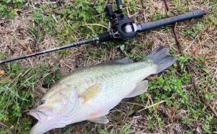 バスの釣果