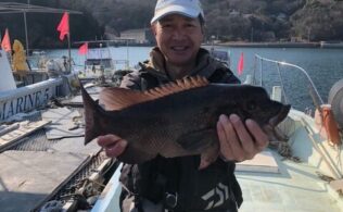 小情島でのフカセ釣り　チヌ２、真鯛、コブダイなど