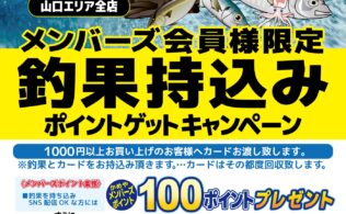 富海アオリのお持ち込みありがとう御座います！
